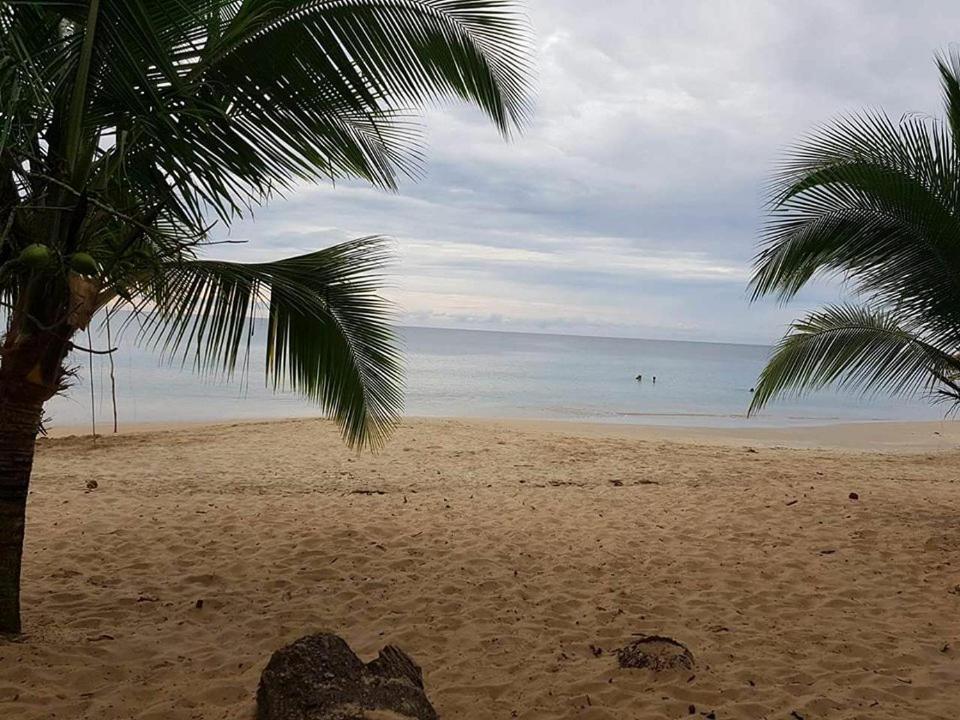 Cabinas Hukats Secret Jungle Puerto Viejo de Talamanca ภายนอก รูปภาพ